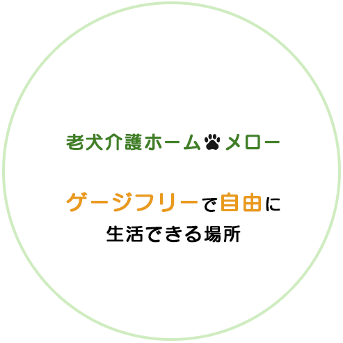 老犬介護ホーム メロー